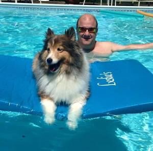 Meet your Posher, Sandy